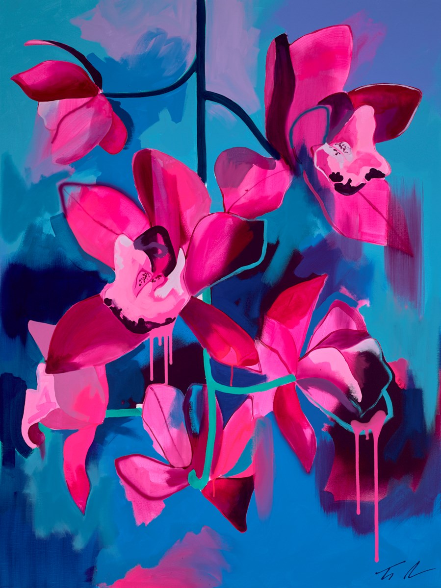 Hanging Orchids