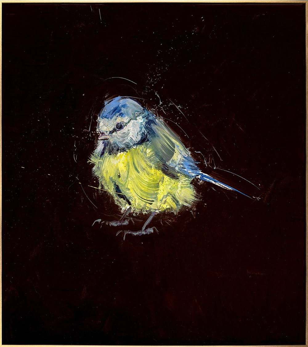Blue Tit