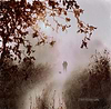 Lovers Lane