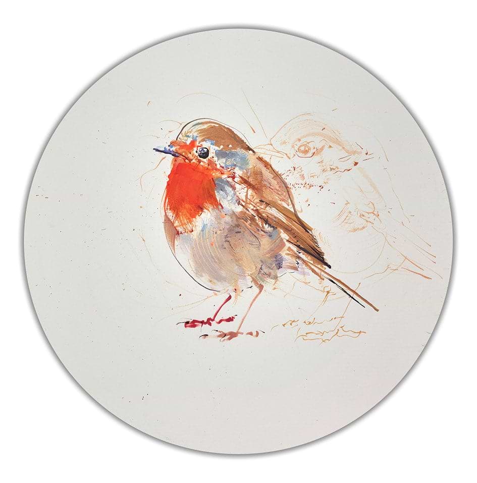 Robin Study V