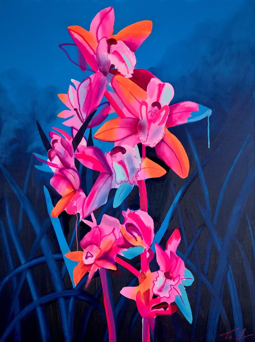 Orange Cymbidium