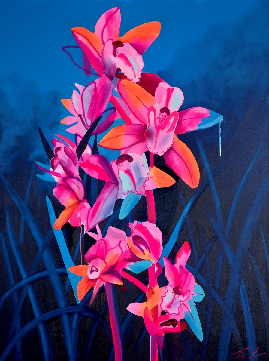 Orange Cymbidium