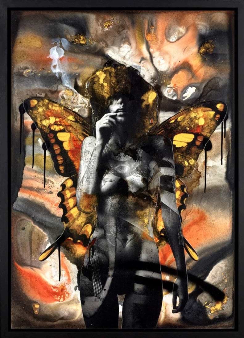 Painted Lady