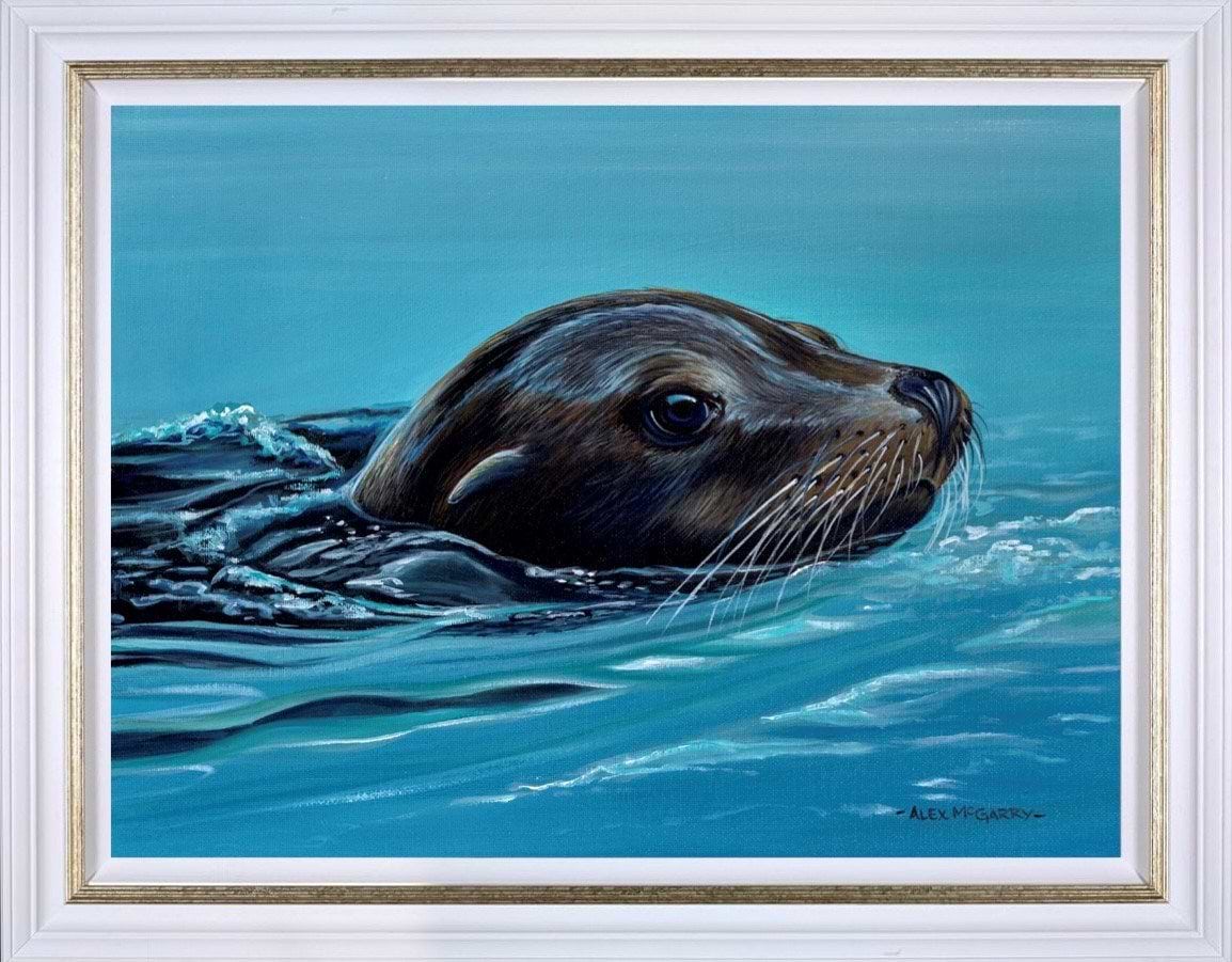 Gone For A Swim