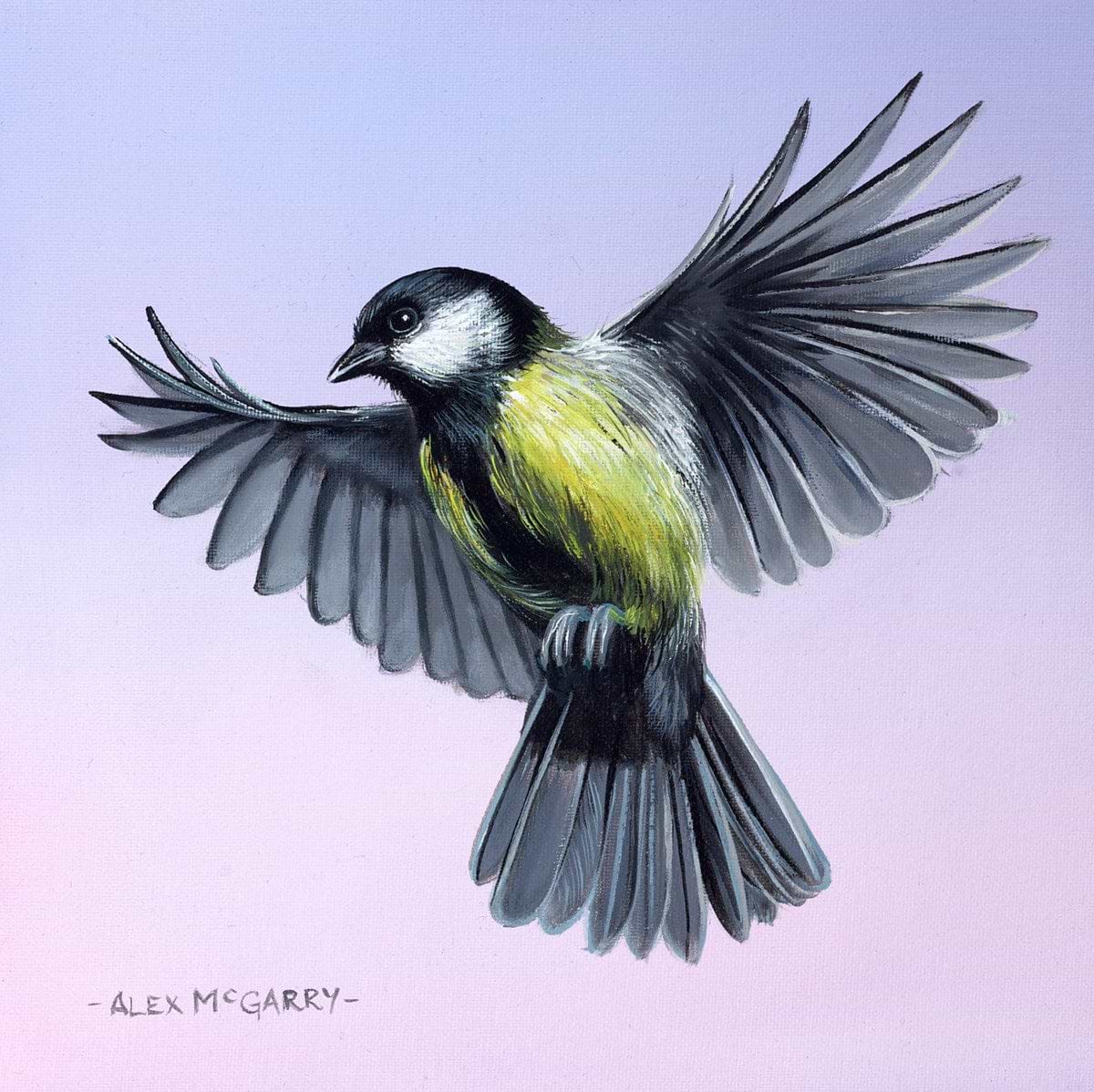 Great Tit Bird