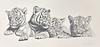 The Frisky Four