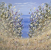 Springtime Seaview III