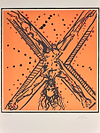 Andrew (Orange)