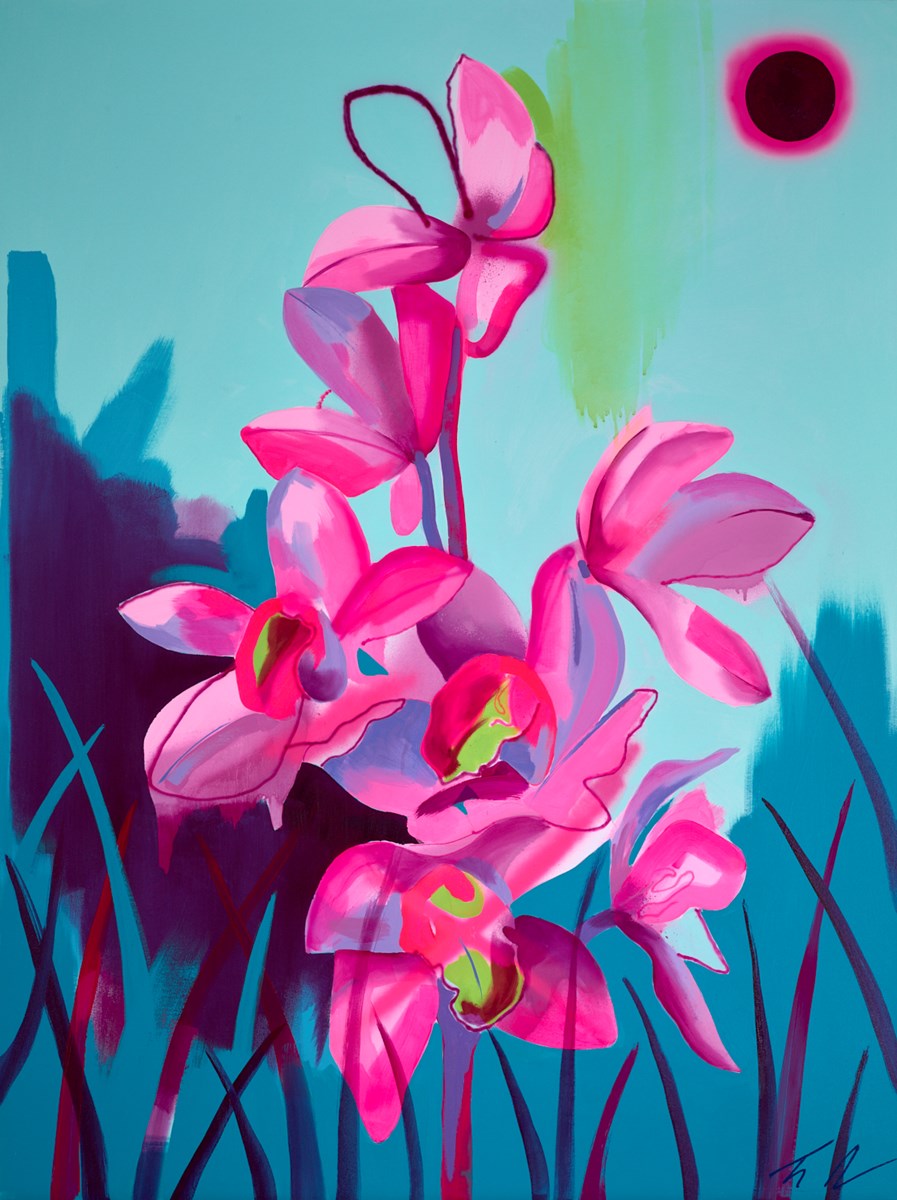 Cymbidium Eclipse