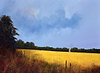 Wheatfields in the making