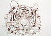 Tiger II (Study)