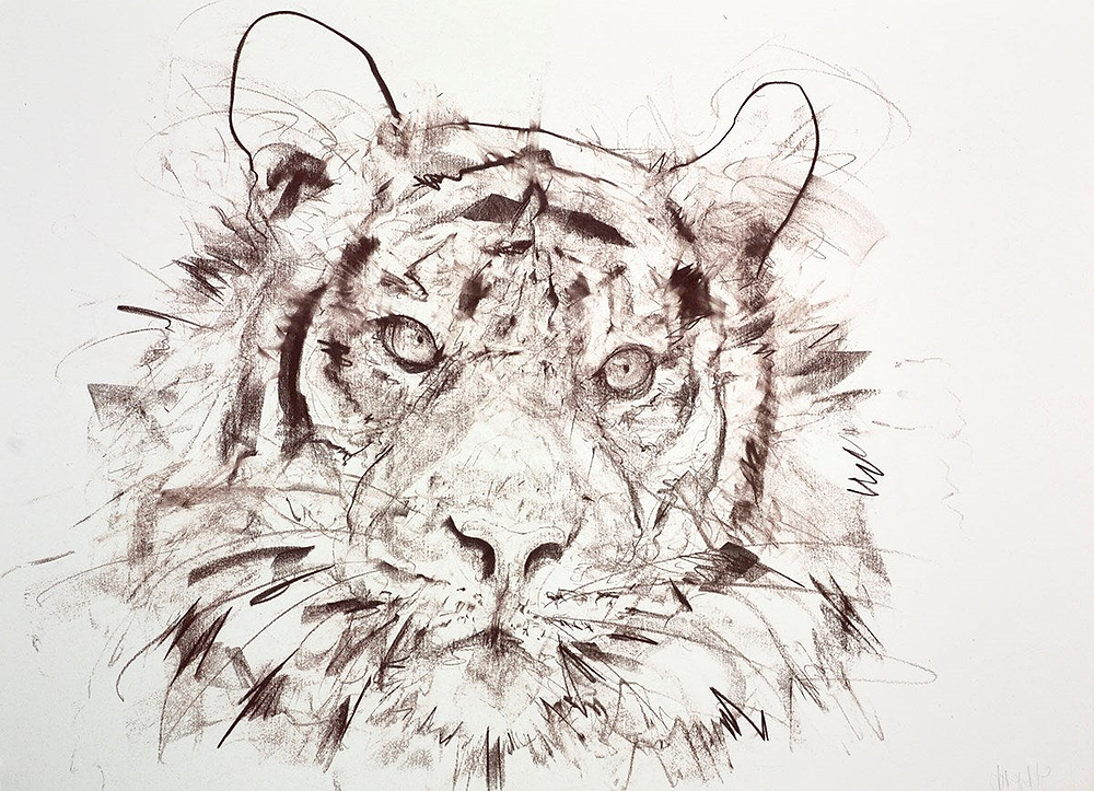 Tiger II (Study)