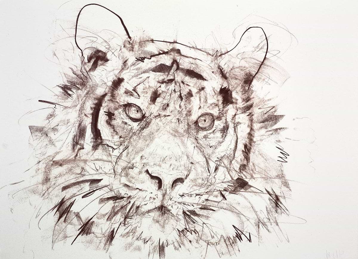 Tiger II (Study)