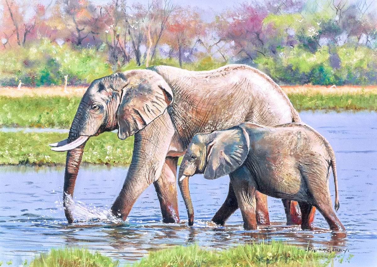 Elephant Days, Botswana