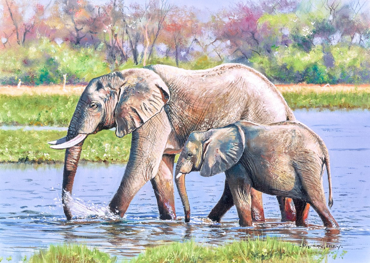 Elephant Days, Botswana