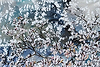 Spring Blossom