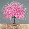 Cherry Blossom Days