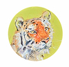 Tiger V