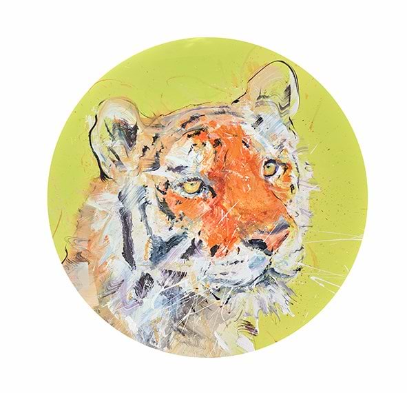 Tiger V
