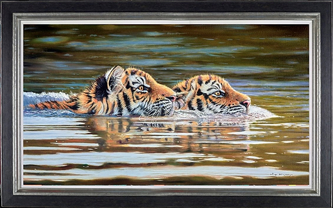 Tiger Cubs Swimming