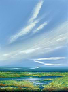 Radiance in the Lowlands