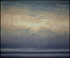 Divaricated Sky