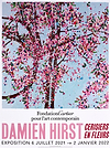 Cherry Blossoms IV
