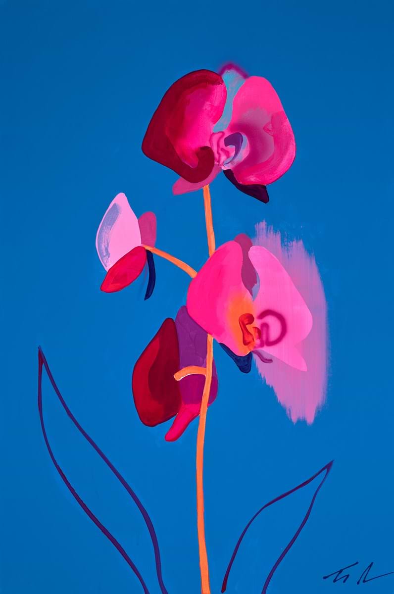 Orchid Blue