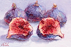 Figs V