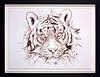Tiger Study IV (Framed)