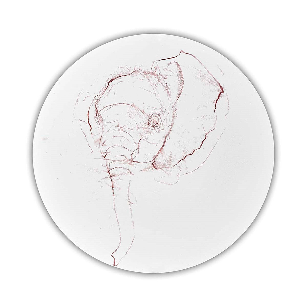Elephant Study II