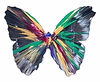 Butterfly Spin