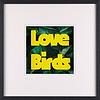 Love Birds