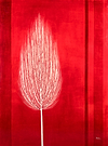 Silent Grove - Red