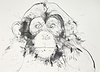 Chimp Study IV