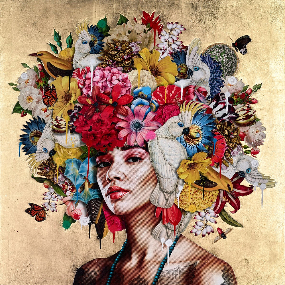 Bloom IV