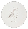 Robin Sketch II