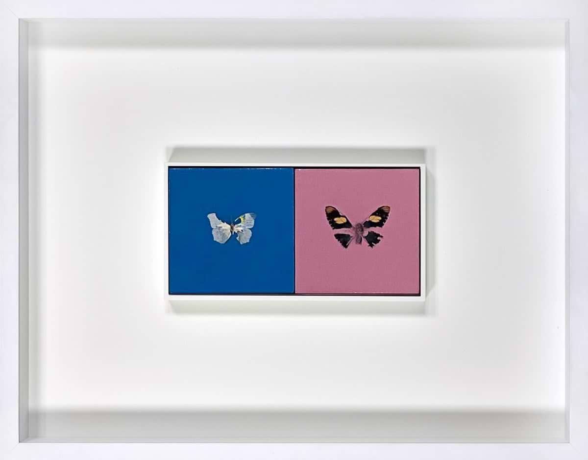 Damien Hirst - Buy Limited Edition Prints – Clarendon Fine Art