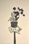 Black Tulips