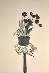 Black Tulips