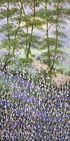 Woodland Walkway