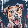 Terrier Soul