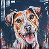 Terrier Soul