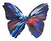 Butterfly Spin