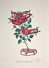 Rosa e morte floriscens