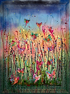 Colourful Butterflies