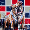 In the Doghouse