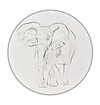 Elephant Study XXVIII