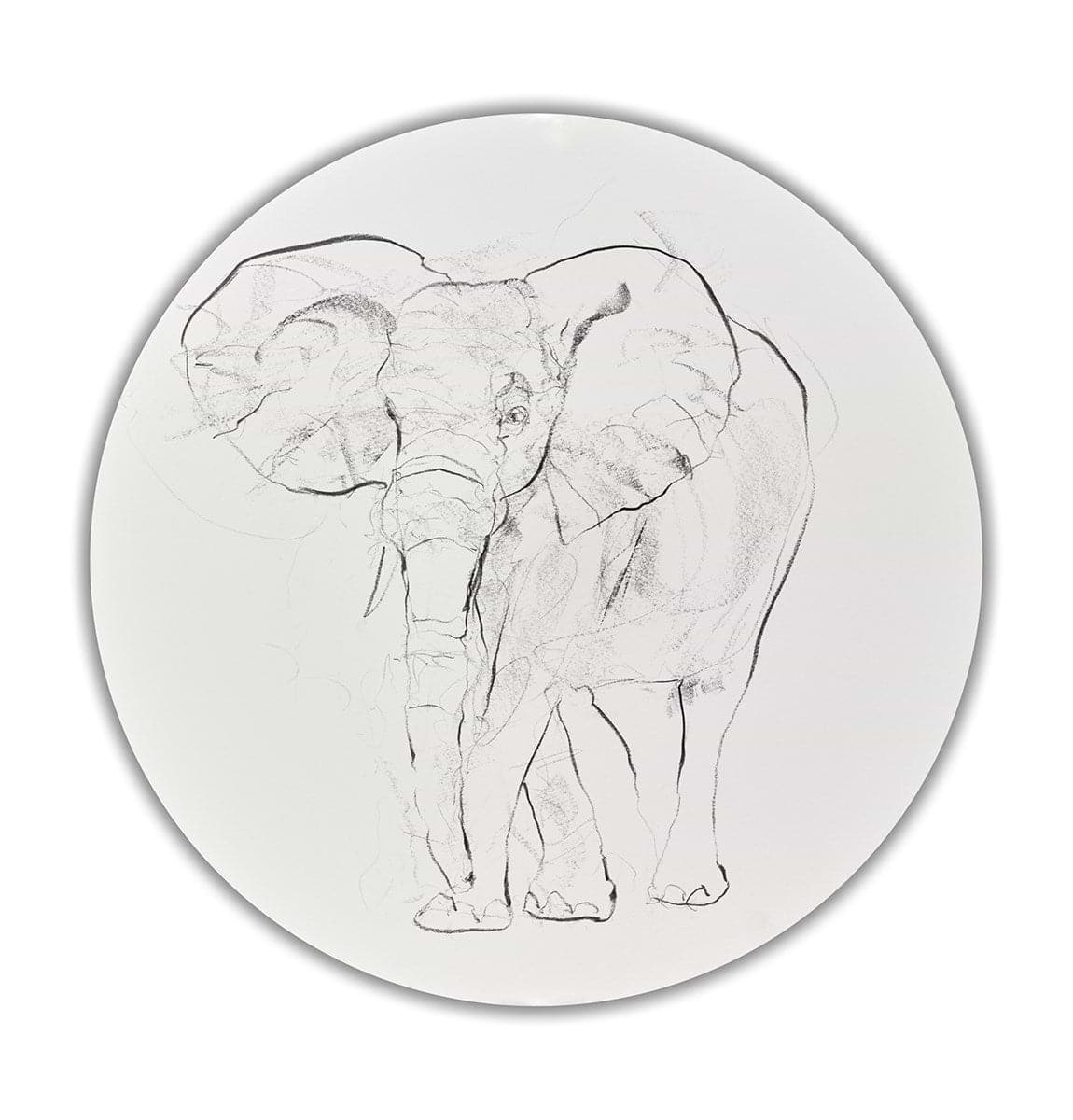 Elephant Study XXVIII