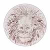 Baby Orangutan Study VI